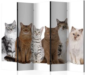 Artgeist Paraván - Sweet Cats II [Room Dividers]
