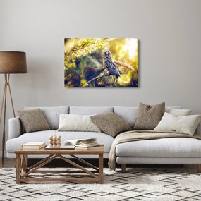 Obraz sovy na strome (90x60 cm)