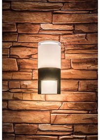 Rabalux 77130 - LED Vonkajšie nástenné svietidlo LEITHA LED/12W/230V IP44