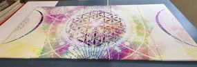 5-dielny obraz Mandala v zaujímavom prevedení Varianta: 100x50