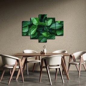 Obraz - Zelené listy (150x105 cm)