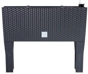 Prosperplast Truhlík so zavlažovacím systémom Rato Case High (antracitová, 80 x 62 x 33 cm (Š x V x H))  (100275859)