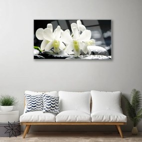 Skleneny obraz Kamene kvety orchidea 100x50 cm
