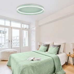 Toolight Toolight, LED stropné svietidlo 40cm, 4000 lm, 22W, 4000K, APP1463, zelená, OSW-08641