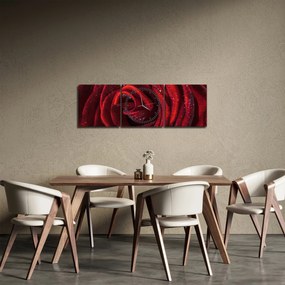 Obraz - Červená ruža s kvapkami rosy (s hodinami) (90x30 cm)