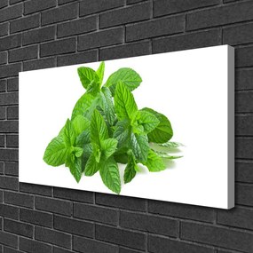 Obraz Canvas Mäta rastlina príroda 140x70 cm