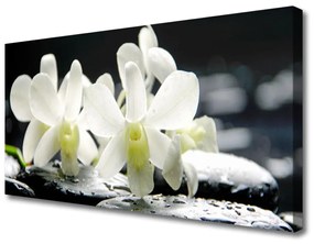 Obraz Canvas Kamene kvety orchidea 100x50 cm