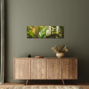 Obraz jašteričky (s hodinami) (90x30 cm)
