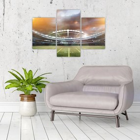 Obraz - Štadión (90x60 cm)