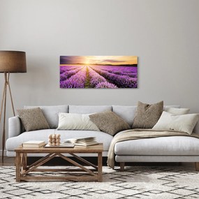 Obraz - Východ slnka v levanduľovom poli (120x50 cm)