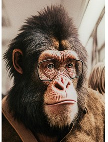 Commuter Monkey obraz viacfarebný 60x60 cm
