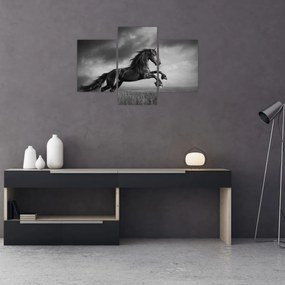 Obraz - Kôň čiernobiely (90x60 cm)