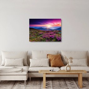 Sklenený obraz - Horská rozkvitnutá krajina (70x50 cm)