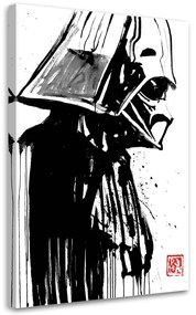 Gario Obraz na plátne Star Wars, Darth Vader - Péchane Rozmery: 40 x 60 cm