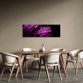 Obraz - Kvapka vody (s hodinami) (90x30 cm)