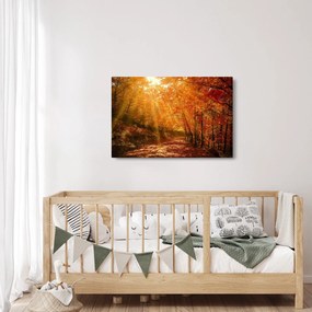 Obraz jesenného lesa (90x60 cm)