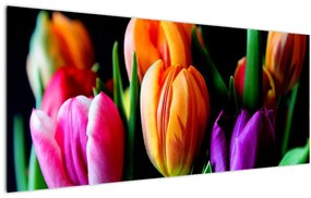 Obraz tulipánov na čiernom pozadí (120x50 cm)