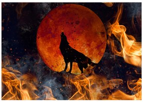 Artgeist Fototapeta - Wolf on Fire Veľkosť: 147x105, Verzia: Samolepiaca