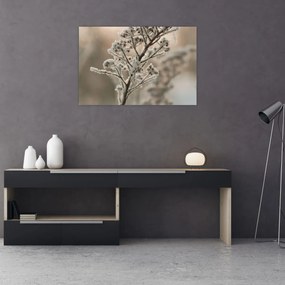 Obraz - Rastlina v mraze (90x60 cm)