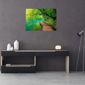 Obraz - Plitvické jazerá (70x50 cm)