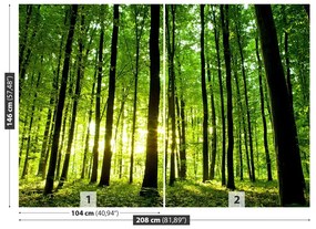 Fototapeta Vliesová Zelený les 152x104 cm