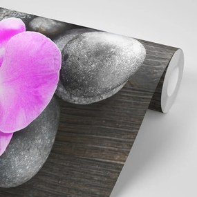 Samolepiaca fototapeta nádherná orchidea a kamene - 225x150