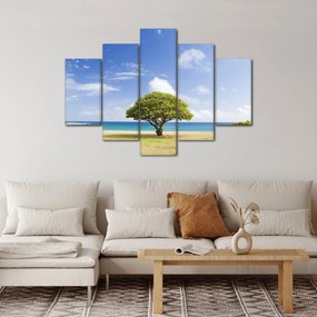 Obraz pláže so stromom (150x105 cm)
