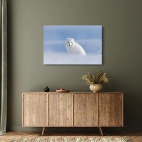 Obraz - Polárna líška (90x60 cm)