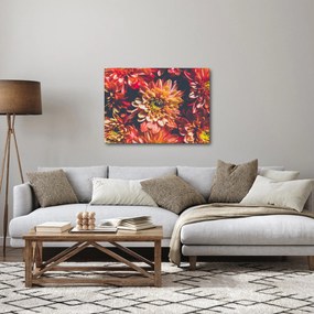 Obraz - Chryzantémy (70x50 cm)