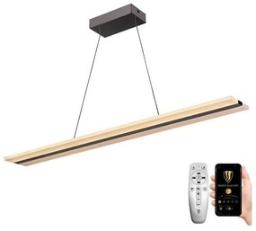 NEDES LED Stmievateľný luster na lanku LED/40W/230V 3000-6500K chróm + diaľkové ovládanie ND3504