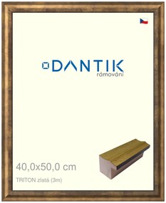 DANTIK rám na obraz 40x50 | TRITON zlatá (Plexi Čiré)