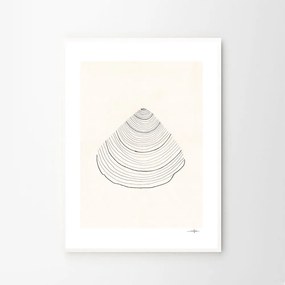 Moikka Plagát Shell by Ana Frois 30x40
