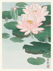 Obrazová reprodukcia Water Lily / Lotus (Japandi Vintage) - Ohara Koson, (30 x 40 cm)