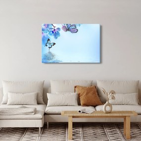 Obraz - Motýľ na kvetoch orchidey, modrý (90x60 cm)