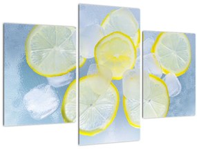 Obraz citróna v ľade (90x60 cm)
