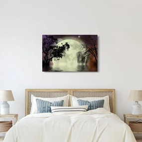 Obraz - Spln nad hladinou (90x60 cm)
