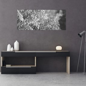 Obraz - Smrekový les (120x50 cm)