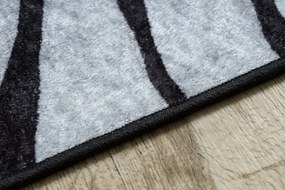 Dywany Łuszczów, Kusový koberec Miro 51331.803 Zebra black / white, 120x170, čiernobiela, chodba / predsieň