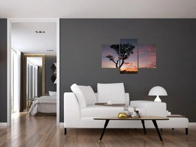 Obraz - Strom a červánky (90x60 cm)