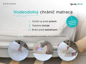 Kokosový matrac COCO MAXI 20 cm 80 x 200 cm Ochrana matraca: BEZ chrániče matraca