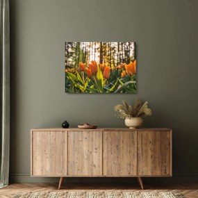 Sklenený obraz - kvety tulipánov (70x50 cm)