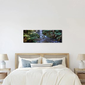 Obraz australského dažďového lesa (s hodinami) (90x30 cm)