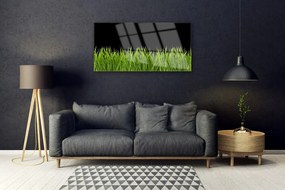 Obraz plexi Zelená tráva príroda 100x50 cm