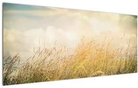 Obraz - Pole na jeseň (120x50 cm)