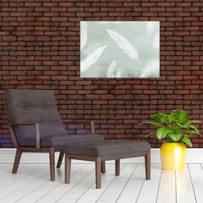 Obraz - Biele pierka (70x50 cm)