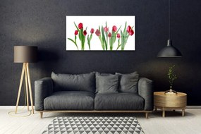 Skleneny obraz Tulipány kvety rastlina 120x60 cm