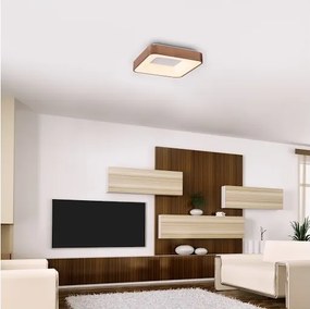 Rabalux 5056 - LED Stropné svietidlo CARMELA LED/30W/230V