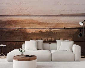 Gario Fototapeta Les na historických doskách Materiál: Vliesová, Rozmery: 250 x 175 cm