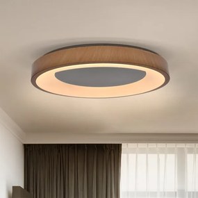 Brilagi - stmievateľné LED svietidlo DORIA LED/60W/230V 3000-6500K priemer 60 cm + diaľkové ovládanie