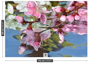Fototapeta Vliesová Čerešňový kvet vody 152x104 cm